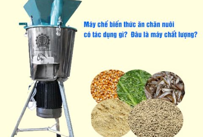 Máy Chế Biến Thức Ăn Chăn Nuôi Có Tác Dụng Gì? Đâu Là Máy Chất Lượng?