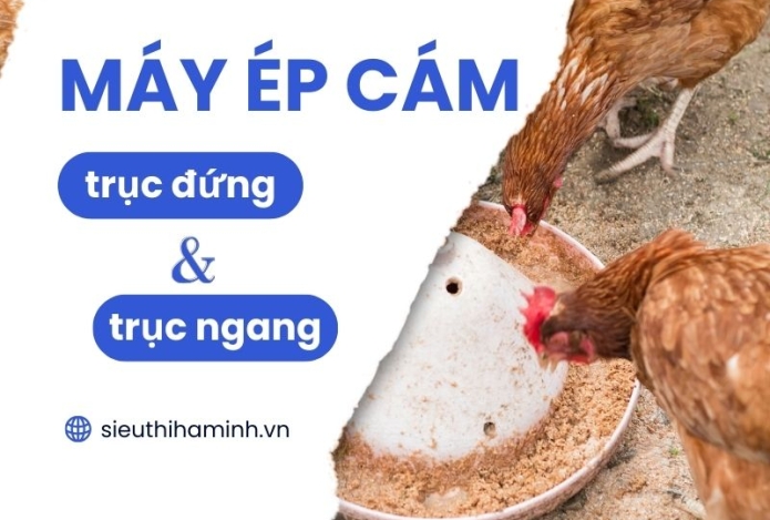 So sánh máy ép cám viên trục ngang và trục đứng