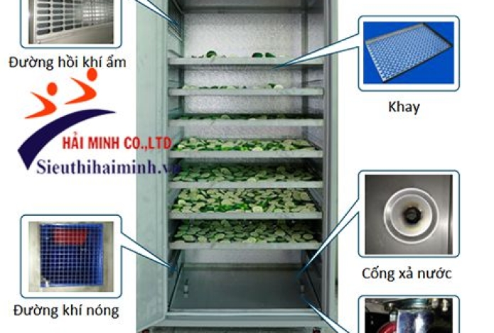 Máy sấy tinh bột nghệ - phương pháp sấy lạnh hiện đại nhất