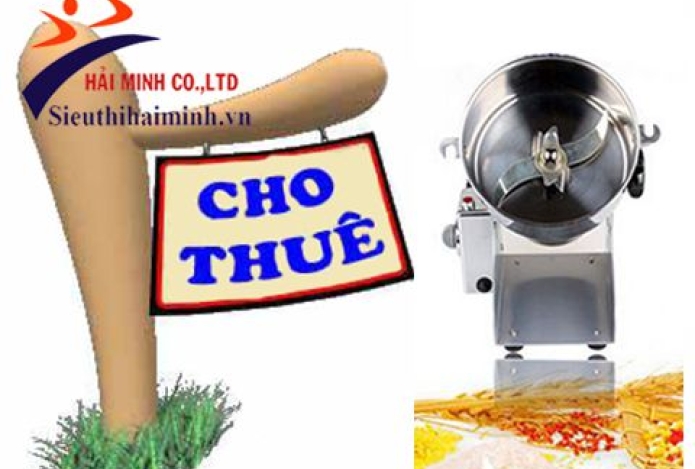Thuê máy nghiền nghệ tươi ở đâu tiết kiệm nhất?