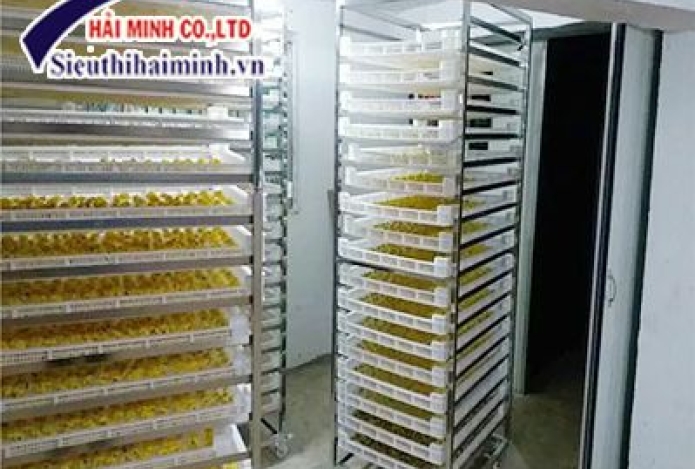 Tư vấn mua máy sấy thực phẩm tốt nhất cho mọi người