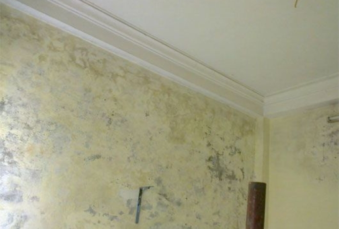 Tác hại của độ ẩm cao