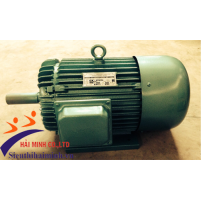 Hình ảnh Động cơ điện 3 Pha Trần Hưng Đạo ST - S4 ( 11 KW)