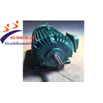 Hình ảnh Động cơ điện 3 Pha Trần Hưng Đạo ST - S4  (22 KW)