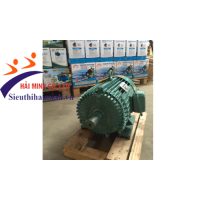 Hình ảnh Động cơ điện 3 Pha Trần Hưng Đạo ST - S4 ( 8 kw)