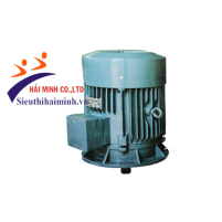 Hình ảnh Động cơ điện 3 pha Hem 3K200S6-15KW