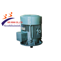 Hình ảnh Động cơ điện 3 pha Hem 3K250S6-40KW