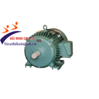 Hình ảnh Động cơ không đồng bộ 3 pha Hem 3K200M4 (33kw)