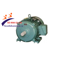 Hình ảnh Động cơ không đồng bộ 3 pha Hem 3K250S4 (40kw)