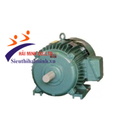 Hình ảnh Động cơ không đồng bộ 3 pha Hem 3K355S10 (100kw)