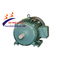 Hình ảnh Động cơ không đồng bộ 3 pha Hem 4KA225M6 (30kw)
