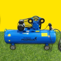 Máy nén khí Pegasus TM- V-0.25/8 3 HP 180L Hình ảnh Máy nén khí Pegasus TM- V-0.25/8 3 HP 180L
