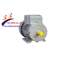 Hình ảnh Động cơ điện 1 Pha Trần Hưng Đạo ST - S4 (3.0KW)