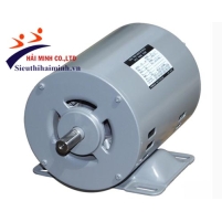 Hình ảnh Motor điện Hitachi 0.1KW - 1450 V/P