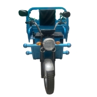 Hình ảnh Xe điện chở hàng 3 bánh MW-700TL (Tải trọng 700kg - Nhập khẩu)