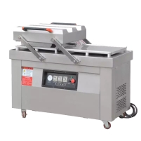 Hình ảnh Máy hút chân không Yamafuji DZ-600/2SA