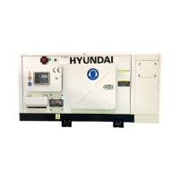 Máy phát điện chạy dầu 1 pha 12.5kw HYUNDAI DHY13KSV