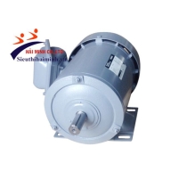 Hình ảnh Động cơ điện Hitachi-0.75KW-1450