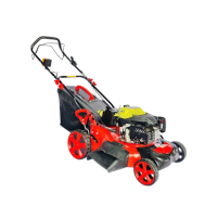 Hình ảnh Xe cắt cỏ đẩy tay Amita AM-552 ( đỏ)