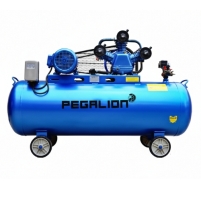 Hình ảnh Máy nén khí dây đai Pegalion TM-W-0.36/8-120L