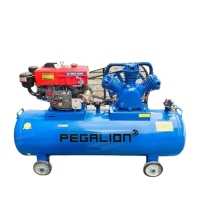 Hình ảnh Máy nén khí chạy bằng dầu diesel Pegalion TM-W-1.0/8-500L