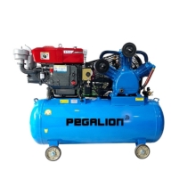 Hình ảnh Máy nén khí chạy bằng dầu diesel Pegalion TM-W-1.6/12.5-500L