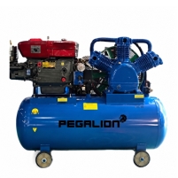 Hình ảnh Máy nén khí chạy bằng dầu diesel Pegalion TM-W-2.0/8-500L
