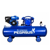 Hình ảnh Máy nén khí đầu nổ chạy bằng xăng TM-V-0.25/8-120L