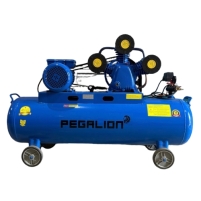 Hình ảnh Máy nén khí dây đai Pegalion TM-V-0.12/8-70L