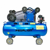 Hình ảnh Máy nén khí dây đai Pegalion TM-V-0.17/8-120L