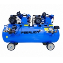 Hình ảnh Máy nén khí dây đai Pegalion TM-V-0.25/12.5x2-230L