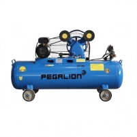Hình ảnh Máy nén khí dây đai Pegalion TM-V-0.25/8-120L (380V)