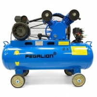 Hình ảnh Máy nén khí dây đai Pegalion TM-V-0.25/8-70L