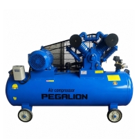 Hình ảnh Máy nén khí dây đai Pegalion TM-V-1.05/12.5-330L