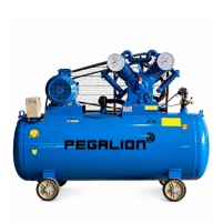 Hình ảnh Máy nén khí dây đai Pegalion TM-V-1.05/12.5-500L
