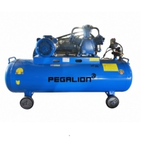 Hình ảnh Máy nén khí dây đai Pegalion TM-W-0.36/8-180L (220V)