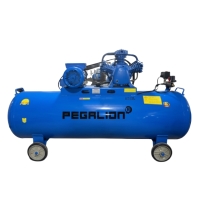 Hình ảnh Máy nén khí dây đai Pegalion TM-W-0.36/8-230L (220V)