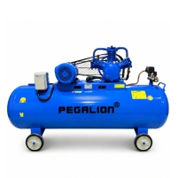 Hình ảnh Máy nén khí dây đai Pegalion TM-W-0.67/12.5-500L