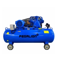 Hình ảnh Máy nén khí dây đai Pegalion TM-W-0.67/8-500L