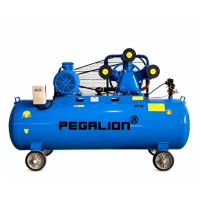Hình ảnh Máy nén khí dây đai Pegalion TM-W-1.0/8-330L