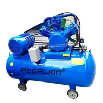 Hình ảnh Máy nén khí dây đai Pegalion TM-W-1.6/8-500L