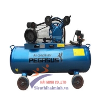 Hình ảnh Máy nén khí trục vít Pegasus TMTV-10A