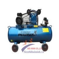Hình ảnh Máy nén khí trục vít Pegasus TMTV-15A