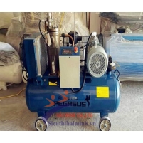 Hình ảnh Máy nén khí trục vít Pegasus TMTV-7.5A