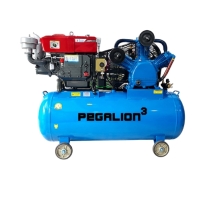 Hình ảnh Máy nén khí chạy bằng dầu Diesel PEGALION TM-W-2.0/12.5-500L