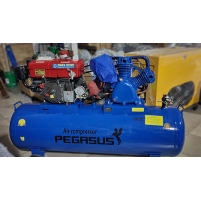 Hình ảnh Máy nén khí chạy dầu diesel TM-W-1.0/8-330L