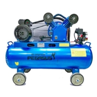 Máy nén khí dây đai Pegasus TM-V-0.6/8-330L Hình ảnh Máy nén khí dây đai Pegasus TM-V-0.6/8-330L
