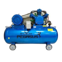 Máy nén khí dây đai PEGASUS TM-V-1.05/12.5-330L Hình ảnh Máy nén khí dây đai PEGASUS TM-V-1.05/12.5-330L