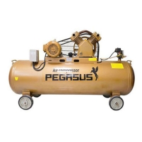 Máy nén khí dây đai PEGASUS TM-W-1.6/8-500L Hình ảnh Máy nén khí dây đai PEGASUS TM-W-1.6/8-500L
