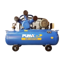 Máy nén khí Puma - Đài Loan PK15300 Hình ảnh Máy nén khí Puma - Đài Loan PK15300
